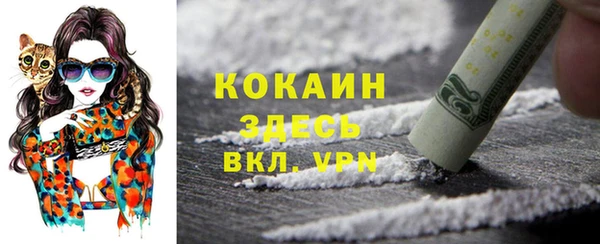 кокс Арсеньев