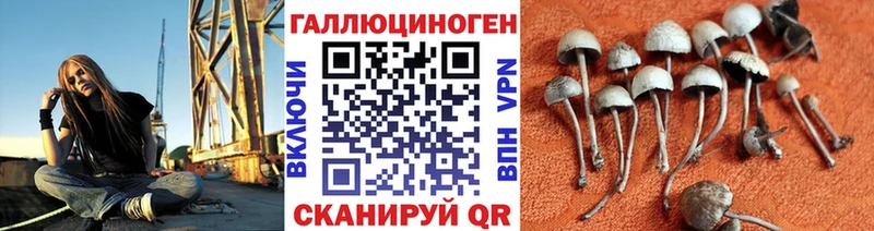 Галлюциногенные грибы прущие грибы  Курлово 